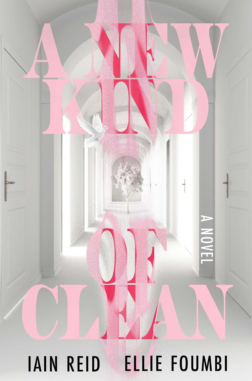 A New Kind of Clean – By Iain Reid & Ellie&nbsp;Foumbi